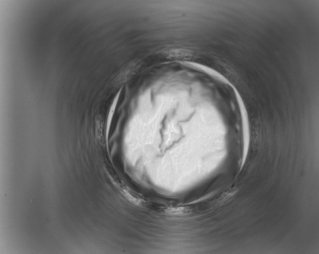 X0000080100281200612301926