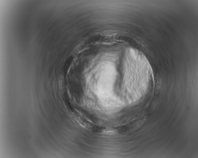 X0000080100283200612301926