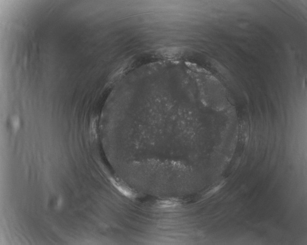 X0000080100286200612301926