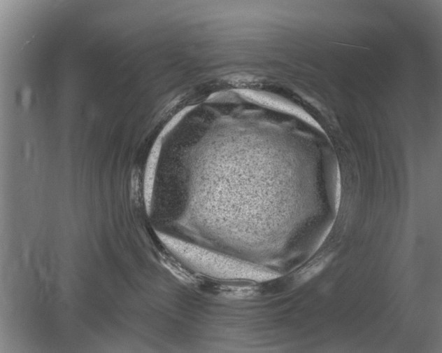 X0000080100288200612301926