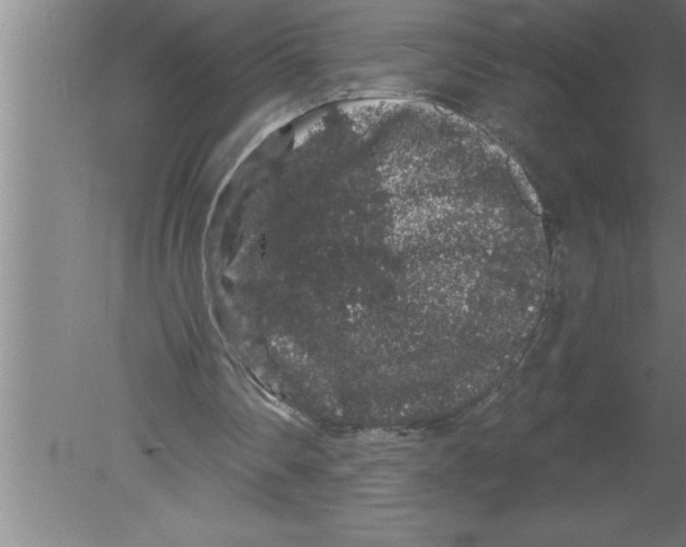 X0000080100290200612301925