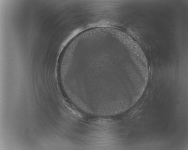 X0000080100292200612301925