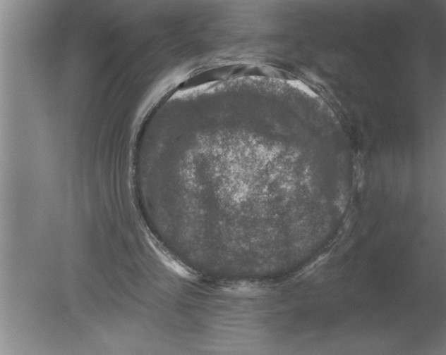 X0000080100293200612301925