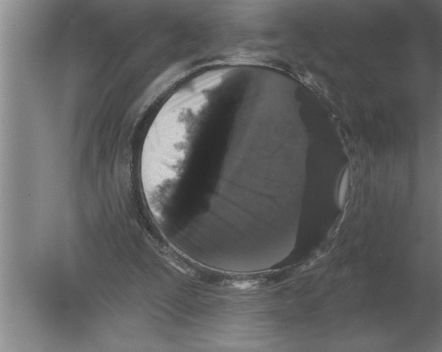 X0000080100295200612301925