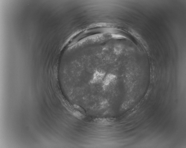 X0000080100297200612301925