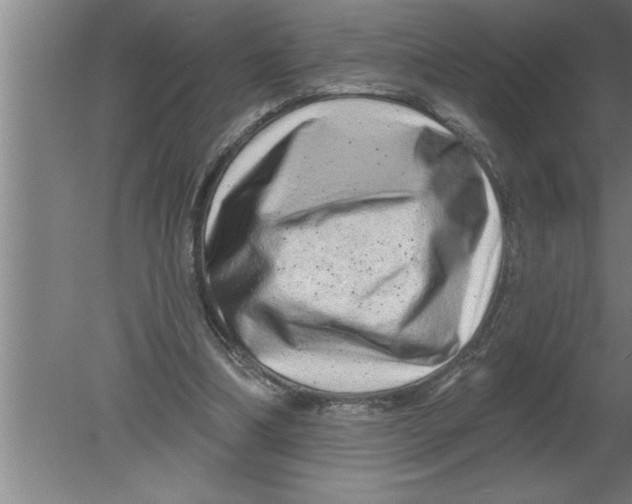 X0000080100298200612301925