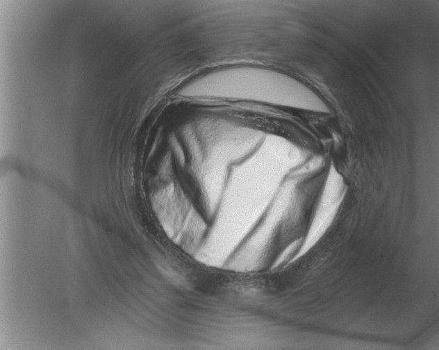 X0000080100299200612301925