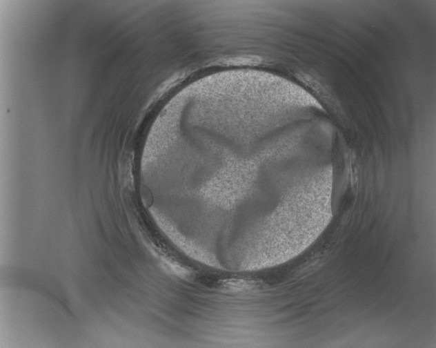 X0000080100300200612301925