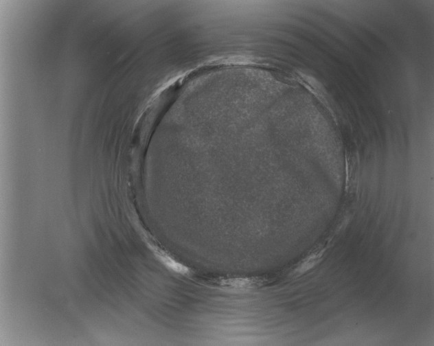 X0000080100301200612301925