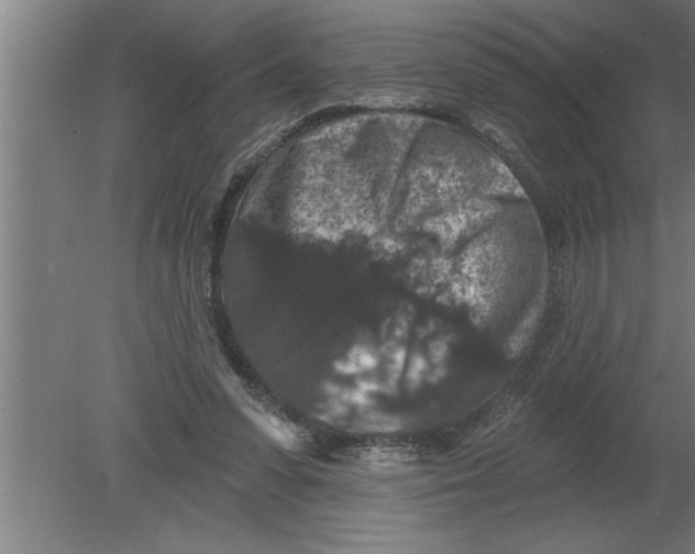 X0000080100303200612301925