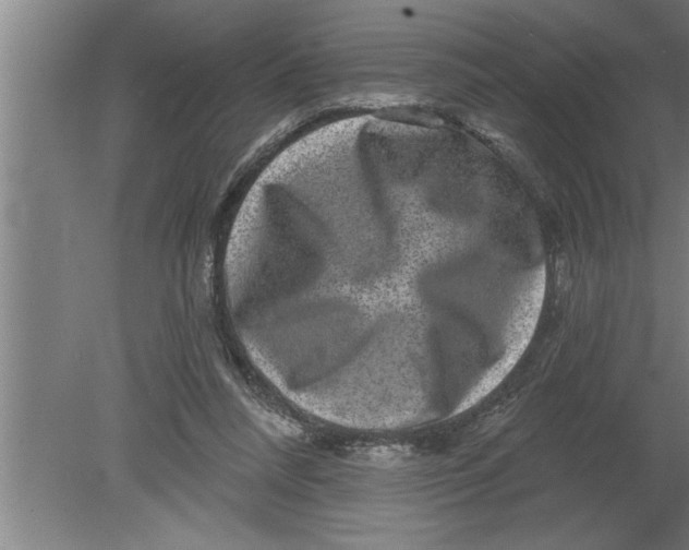 X0000080100304200612301925