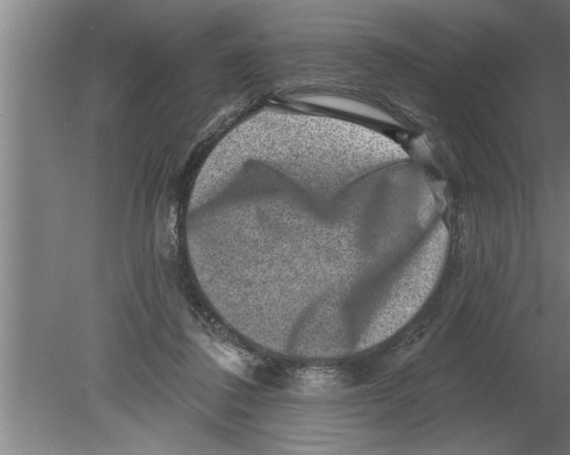 X0000080100308200612301925