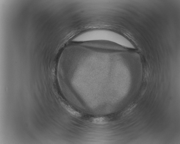 X0000080100309200612301925