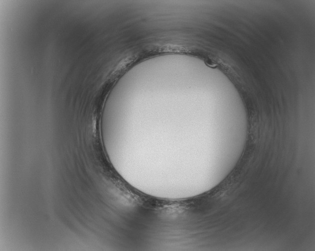 X0000080100310200612301925