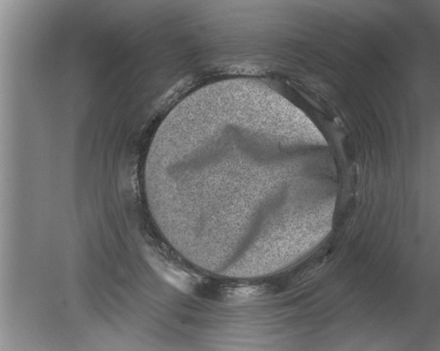 X0000080100312200612301925