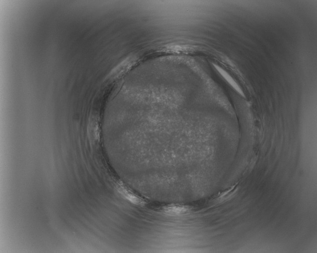 X0000080100313200612301925