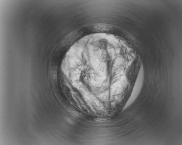 X0000080100315200612301924