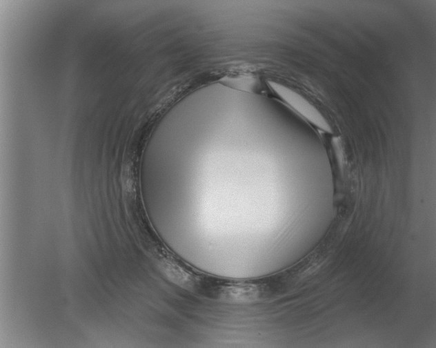 X0000080100317200612301924