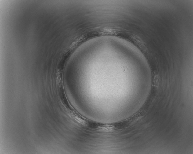 X0000080100318200612301924