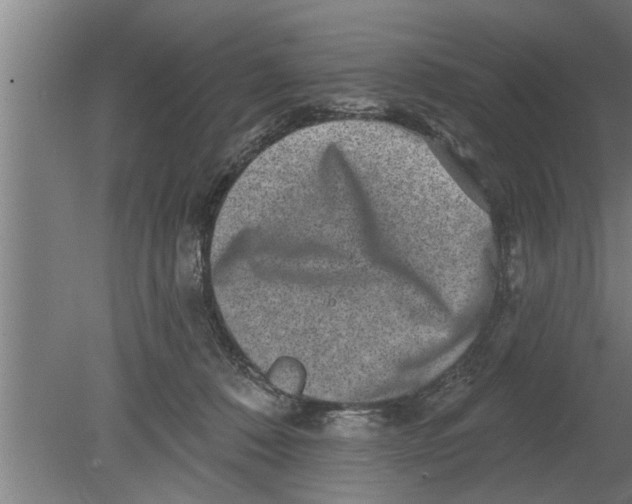 X0000080100320200612301924