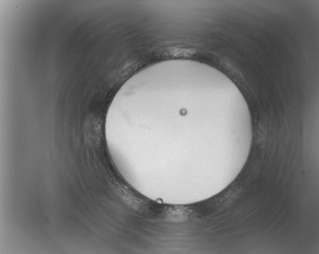 X0000080100321200612301924