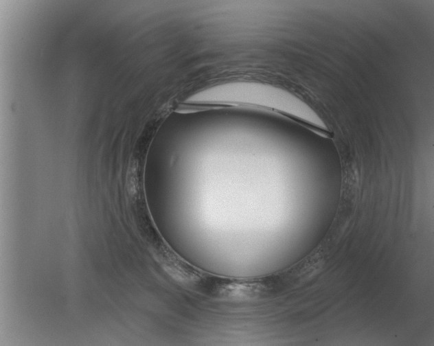 X0000080100323200612301924