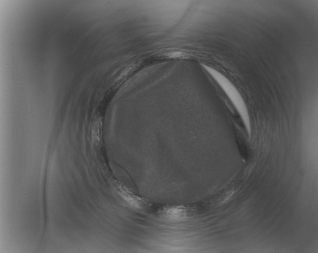 X0000080100325200612301924