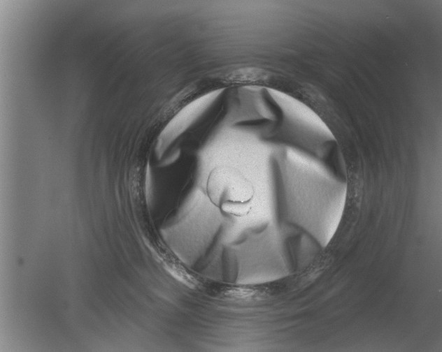 X0000080100326200612301924