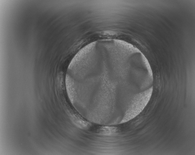 X0000080100328200612301924