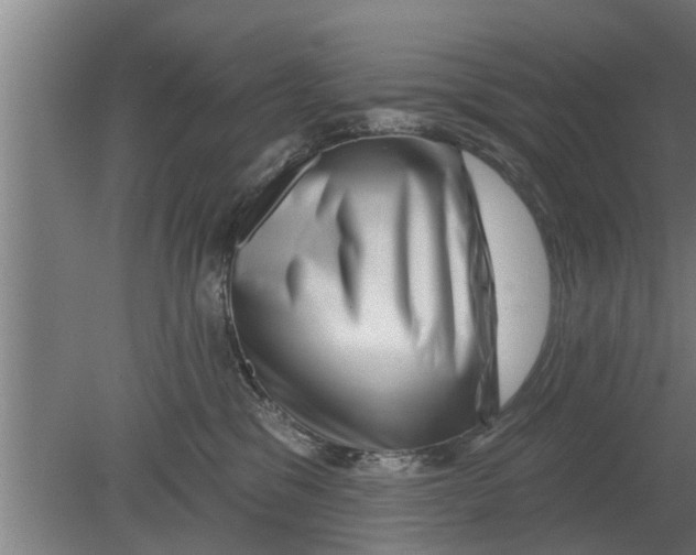 X0000080100329200612301924