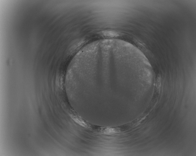 X0000080100330200612301924