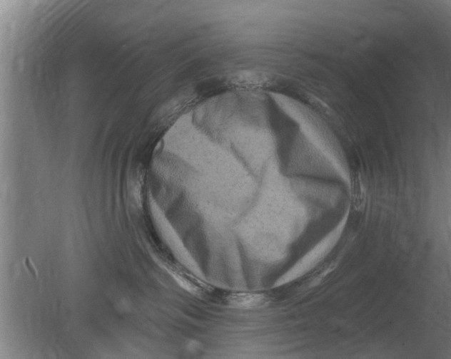 X0000080100334200612301924