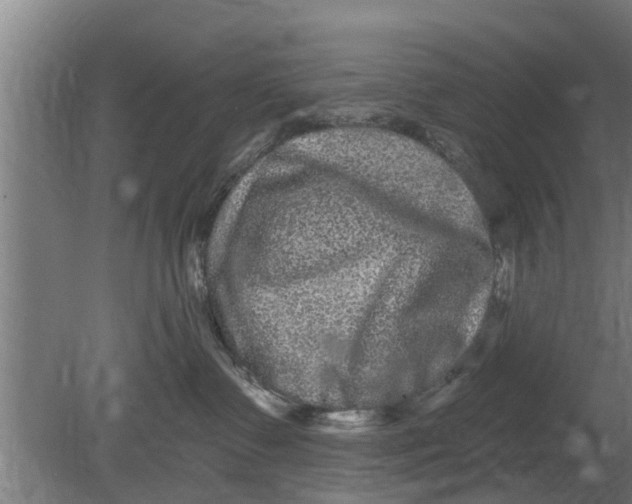 X0000080100335200612301924