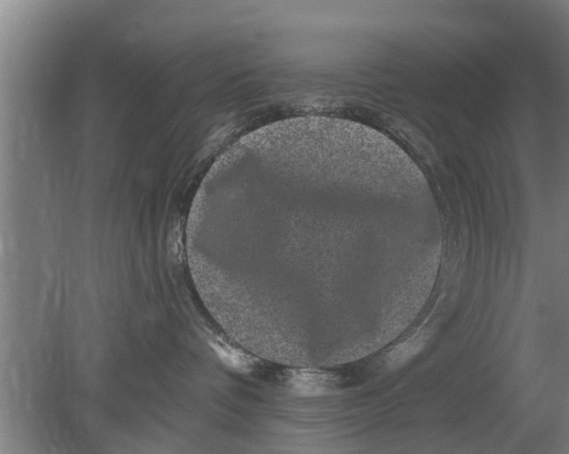 X0000080100336200612301924