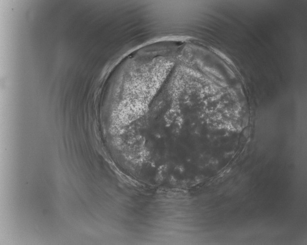 X0000080100337200612301923