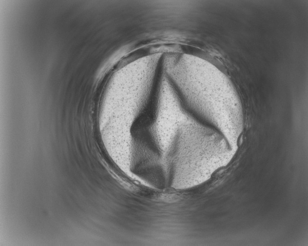 X0000080100341200612301923