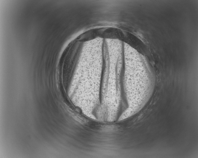 X0000080100342200612301923