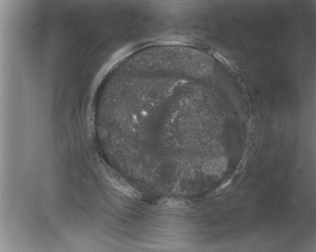 X0000080100343200612301923