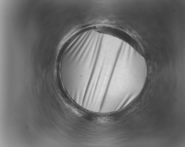 X0000080100344200612301923