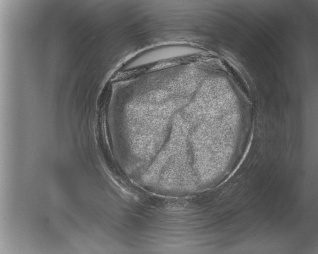 X0000080100346200612301923