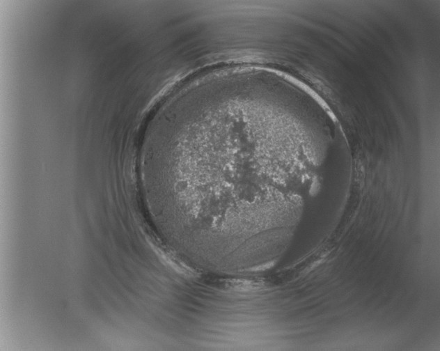 X0000080100347200612301923