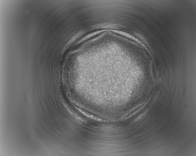 X0000080100349200612301924