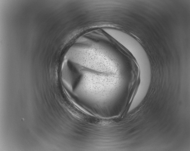 X0000080100350200612301924