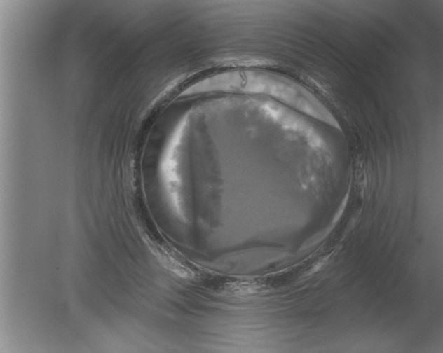 X0000080100351200612301924