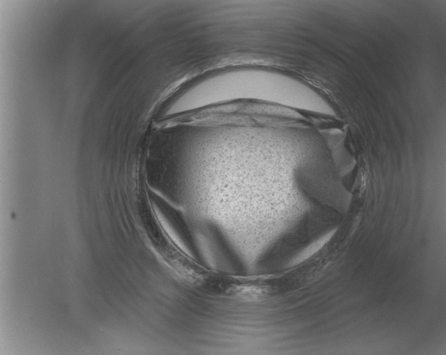 X0000080100352200612301924