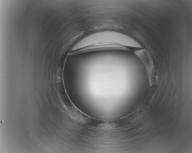 X0000080100356200612301924