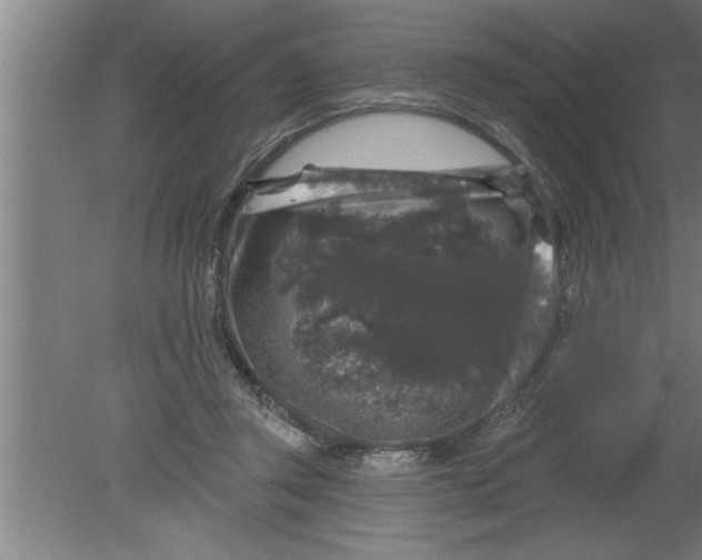 X0000080100357200612301924