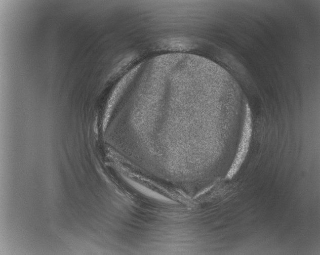 X0000080100358200612301924