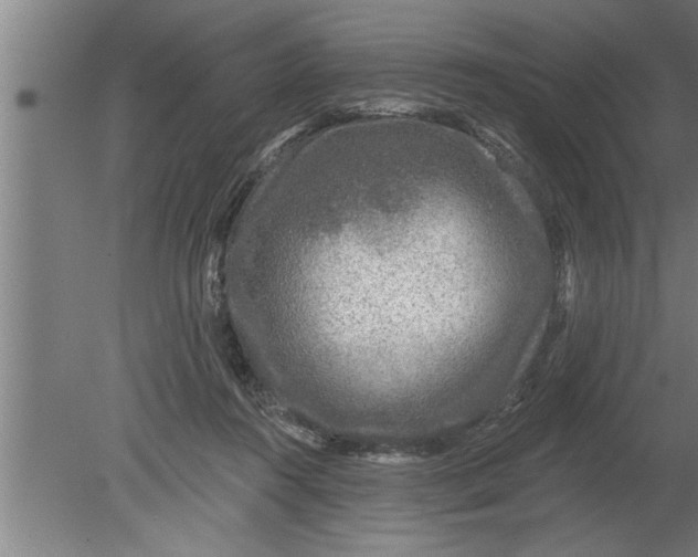 X0000080100360200612301924