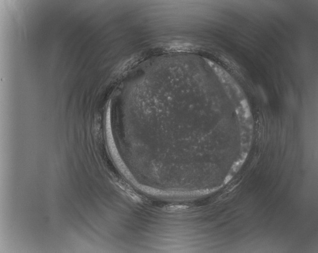 X0000080100361200612301924